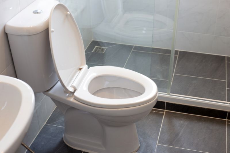 Toilet Tank Repair in Denver, CO