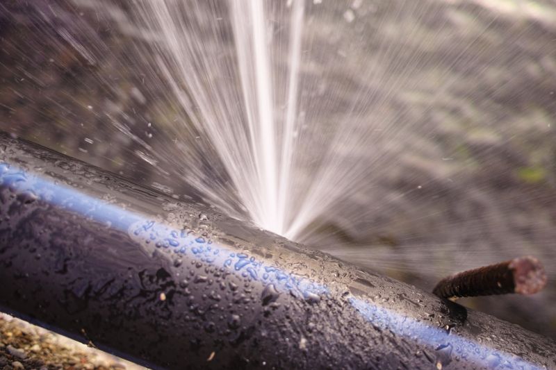 Toilet Tank Repair in Denver, CO